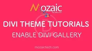How To Enable The Divi Gallery In The Divi Theme Options