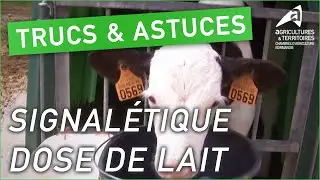 Trucs et astuces d&rsquo;agriculteurs : Signal&eacute;tique pour dose de lait | Cyril Fiault