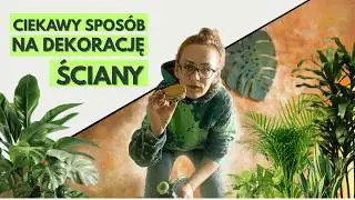 Zwykły Pok&oacute;j zmieniam w Dżunglę. ETAP I