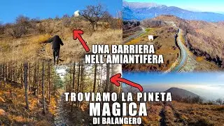IN ESCURSIONE TROVIAMO UNA BARRIERA INSORMONTABILE CHE CI FAR&Agrave; PER&Ograve; SCOPRIRE UNA PINETA BELLISSIMA!