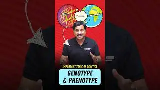 Most important concept of Genetics - Genotype & Phenotype | Explained✔️ #genetics #biology #neet2025
