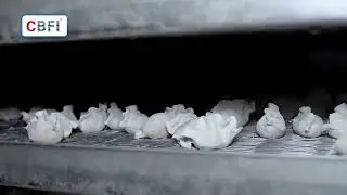 #quickfreezer #freezingtunnel #быстраязаморозка #congeladorr&aacute;pido #pembekucepat #cong&eacute;lateurrapide