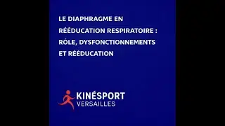 Le diaphragme en r&eacute;&eacute;ducation respiratoire   r&ocirc;le, dysfonctionnements et r&eacute;&eacute;ducation
