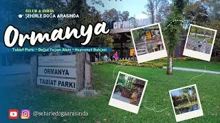Ormanya'yı Geziyoruz! İçeride Neler Var? Ne Yapılır? Kocaeli
