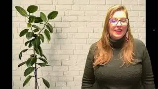 7050 Module 4 Introduction Overview