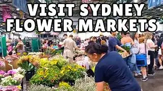 A Day with a Florist at Sydney Flower Markets Christmas (2025)