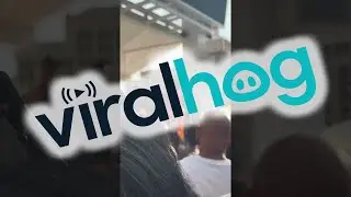 From Singing to Splashing Cardi's Drais Beach Club Incident || ViralHog