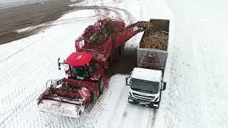 Holmer Terra Dos T 4.40 beim Z-R&uuml;ben roden im Schnee, IVECO LKW.