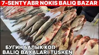 7-СЕНТЯБРЬ НОКИС БАЛЫК БАЗАР БАХАЛАРЫ АРЗАНЛАПТЫ БУГИН БАЛЫК КОП САЗАН ПЕСТРЫЙ БЕЛАМУР КАРАС АКБАЛЫК