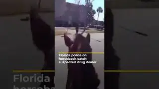 Florida police catch suspected drug dealer on horseback