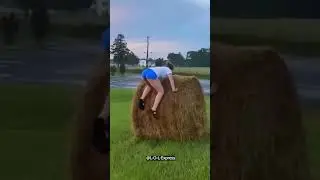 Quick Comedy Fix 😂🤣🤪😁