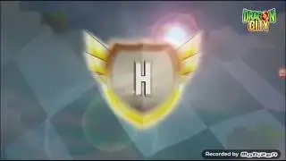 High nucleus dragon