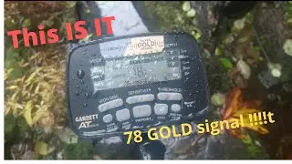 GOLD prospecting and I Nailed it with Garret AT GOLD metal detector