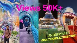 Underwater Fish Tunnel Exhibition