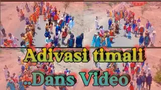 Adivasi timali dangs video// Gayak kalakar v k bhuriya and Rahul bhuriya// Rakesh Damor