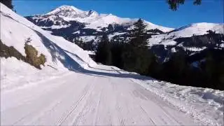Schlitteln Lenk im Simmental