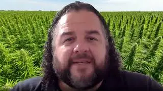 💡 Cannabis SEO in 2025: Why It&rsquo;s Different & What Actually Works