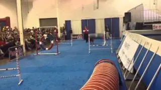 Agility stars!