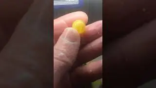 шары из янтаря. 