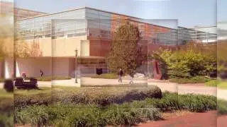 University College Degrees and Majors: Criminal Justice and Criminology