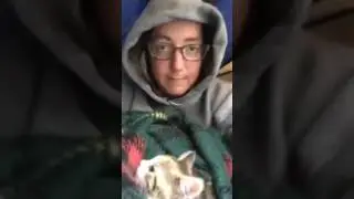 Holding and petting feral kitten for first time - Cat Chat with Heidi - Episode 11