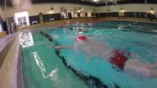 Sculling butterfly drill