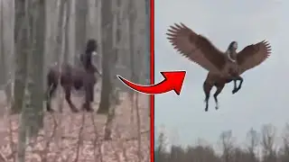 Real MYTHICAL CREATURES Caught Alive on Camera &mdash; Footage That Shouldn&rsquo;t Exist.!