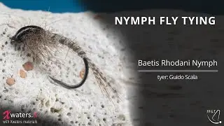 Nymph Fly Tying - Baetis Rhodani Nymph - Fly Tying Tutorial - Hare Hair, Peacock quill and Possum