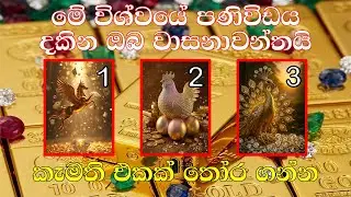 විශ්වයේ මේ පණිවිඩය ලබන ඔබ ගොඩක් වාසනාවන්ත කෙනෙක් 🍀🌱💫🩷💯/ Message from universe 🍀💯💫