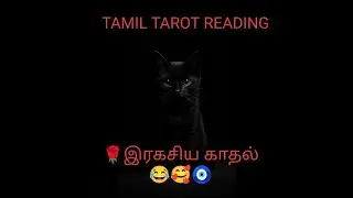 🌺📿இரகசிய காதலன்/காதலி 😁🫶#tamiltarotreading #lovetarot 