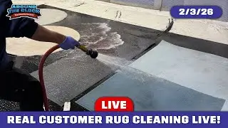 LIVE Rug Washing! #rugwashing #cleanwithme