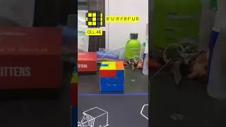 OLL tutorial #rubikscube #rubik #shorts #cfop #oll #rubiks #shortvideo