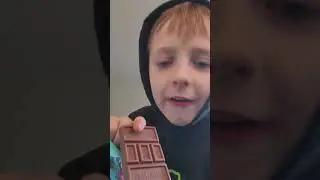 Beastable Feastables Milk Chocolate Honest Review