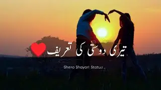 Teri Dosti Ki Tareef | Dosti Shero Shayari Status 2024