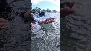 This is how we catch Bug-atan shells when high tide by using Archer