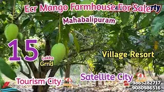 🆔 1502🌴13 LAKHS PRIME MANGO FARM  SALE CHENNAI ECR🌴MAHABALIPURAM VILLAGE RESORT🌴SMART CITY🏖️MR.ASHI
