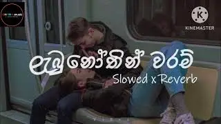 Lebunothin waram #hiru#music#vini#wasthi#rap#hiphop#official