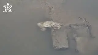 Cautare pe Somes dupa baiatul disparut - ziua 4 Gherla (Cluj)