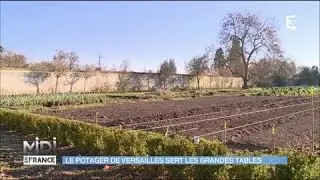Le potager de Versailles : fournisseur des grandes tables