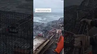 Baiting Maine lobster traps