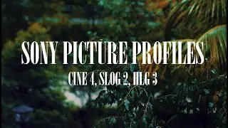 a6400 Sony Picture Profiles - Cine 4, SLOG 2, HLG 3