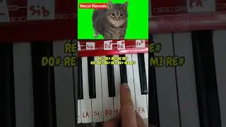 W&W - OIIA OIIA (Spinning Cat) piano tutorial #shorts