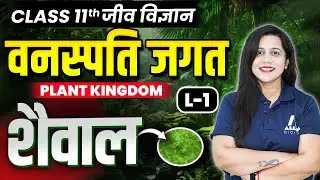 वनस्पति जगत - Lecture 1 |  Class 11th Biology Chapter 3 | Plant Kingdom in Hindi | शैवाल - Algae ✅