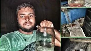 Feeding my fishes liveworm#feeding#PARROT SUDIPTA