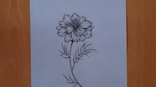 Flower drawing tutorial for beginners..   Step by step Pencil drawing..HD pencil drawing tutorial.