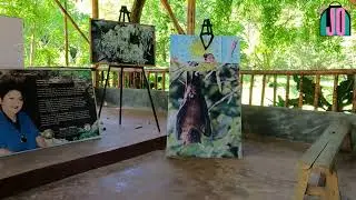 Monfort Bat Cave | Davao  Del Norte