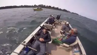 Astoria salmon takedowns