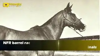 Wrangler NFR 60 Greatest of All Time: Jane Mayo
