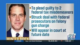 Hunter Biden to plead guilty to not paying taxes, gun charge