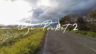 【4K】DJI POCKET 2 WALKING TEST 4k 60FPS